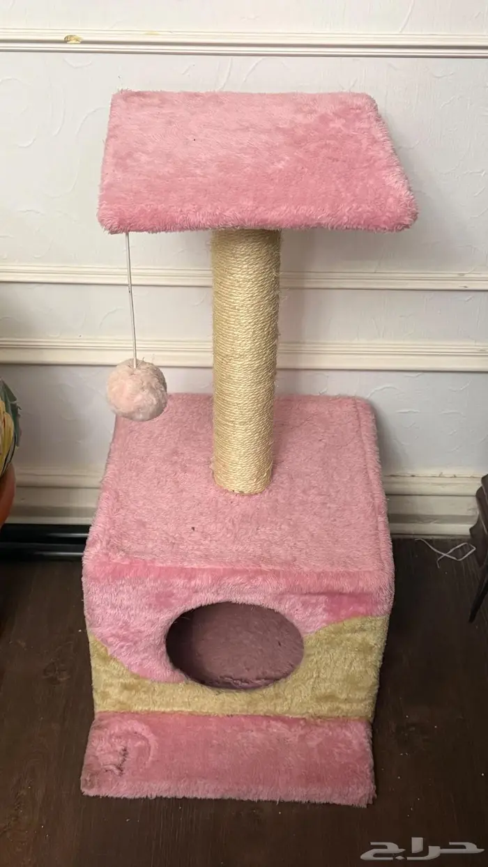 بيت قطو قطة مع خماشة 0