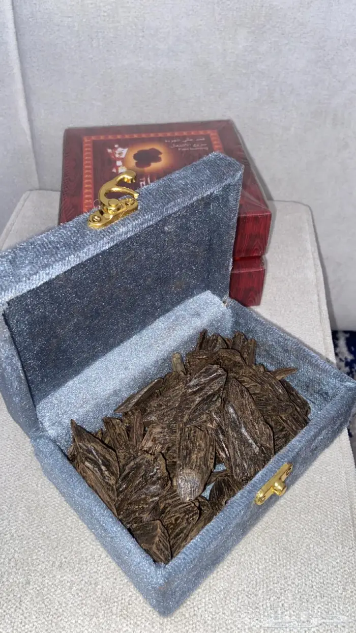 تبي عود لمجلسك جوده وسعر تبوك 5