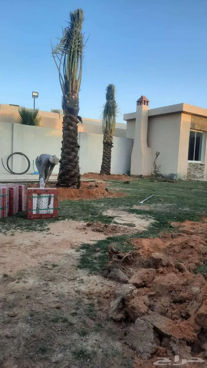 الدمام الشرقيه 1