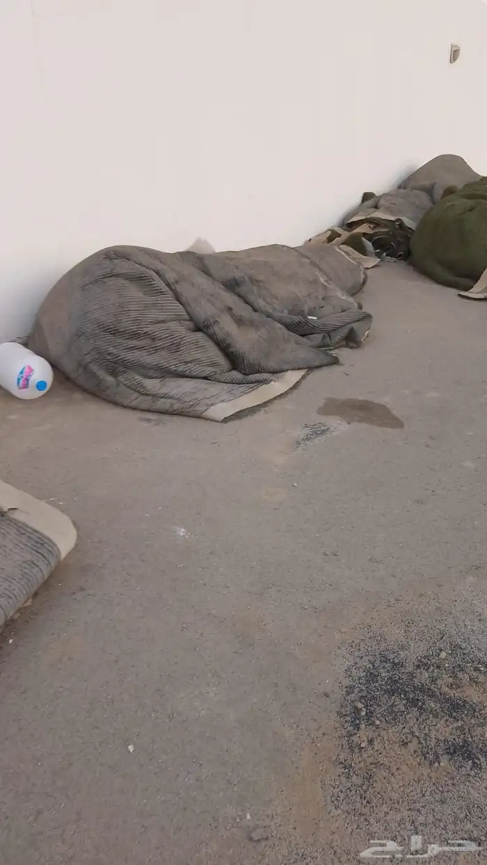 أنجيلة ملعب كامل 2