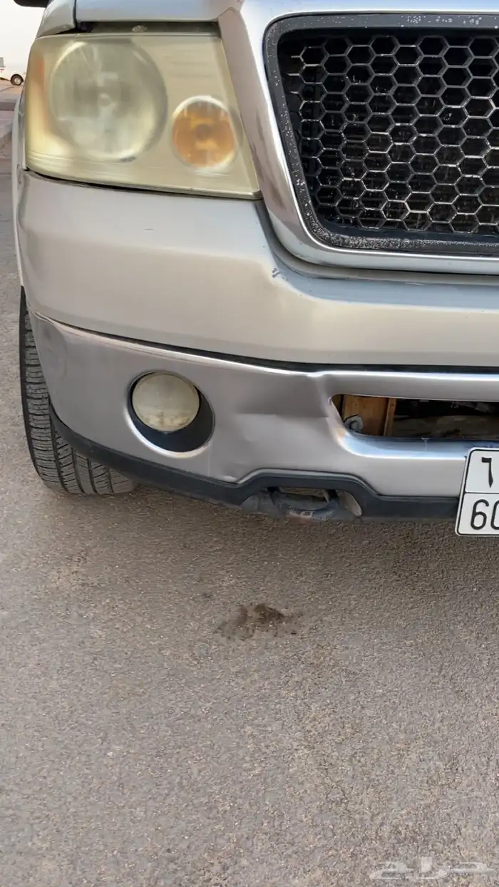 f150 2006 فورد حوض 19