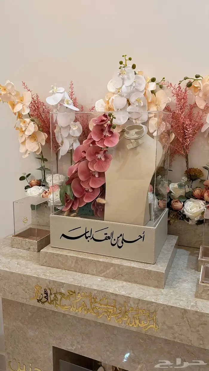 عربية شبكة 1