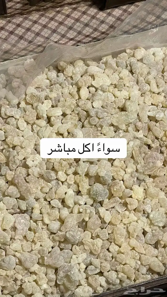 اجواد انواع اللبان من عمان و صافي 4