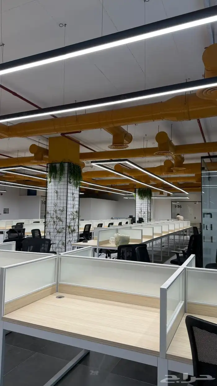 مكاتب خاصة وافتراضية جاهزة 18