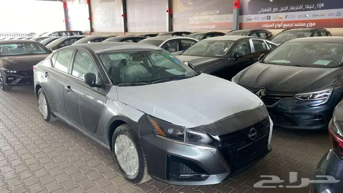 التيما ستاندر 2026 8