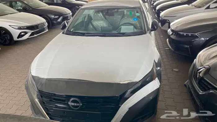 التيما ستاندر 2026 26