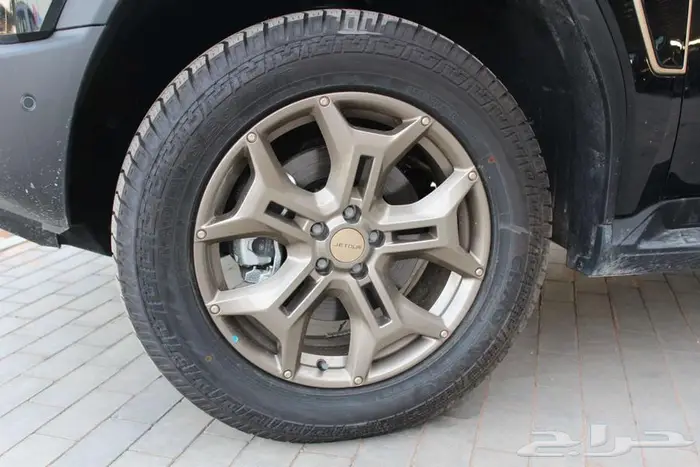 جيتور فل كامل 2025 19