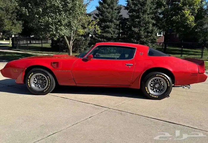 للبيع ترانز ام موديل 1979 Pontiac trans am 6