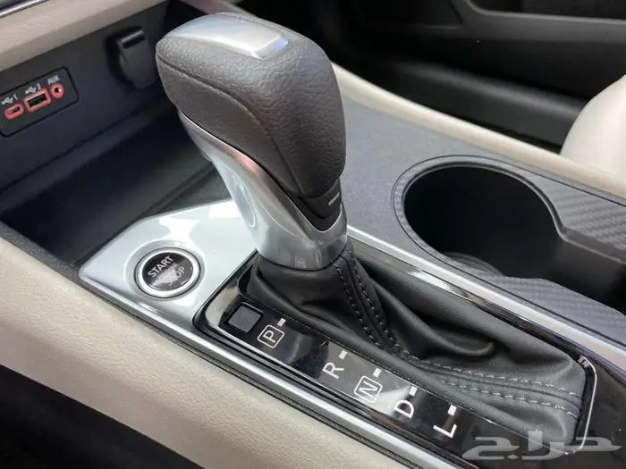 التيما ستاندر 2026 35