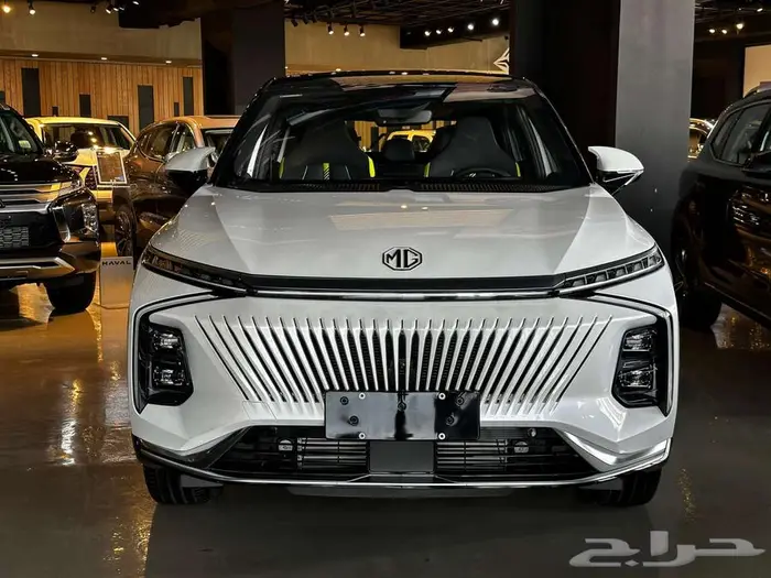 ام جي الحوت mg whale 2024 0