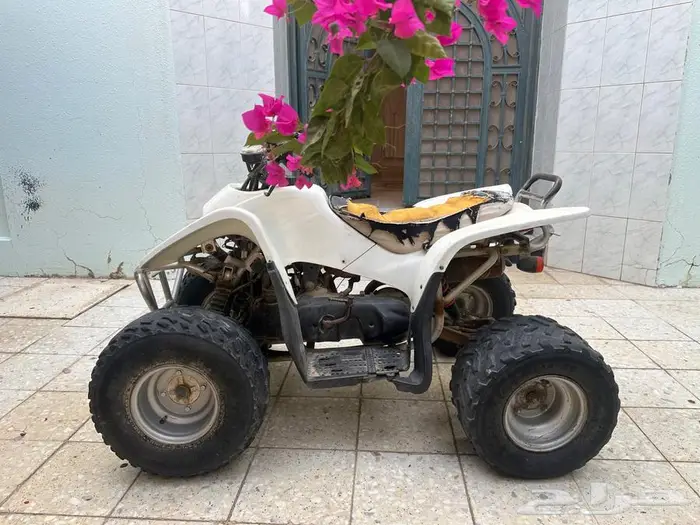 دياب شغال للبيع 0