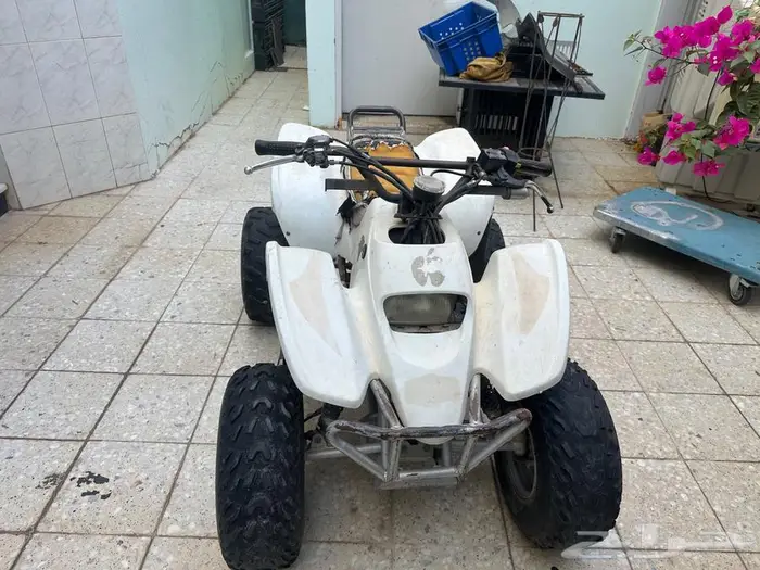 دياب شغال للبيع 1