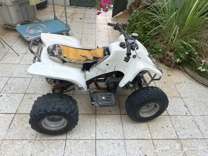 دياب شغال للبيع 2