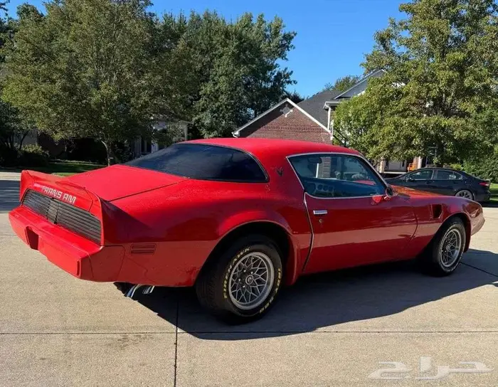 للبيع ترانز ام موديل 1979 Pontiac trans am 4