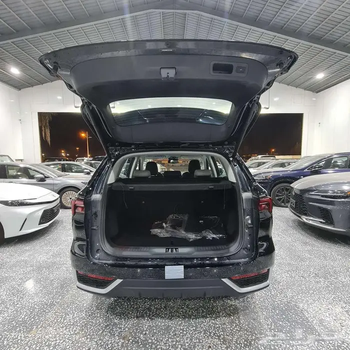 فورد تيريتوري تيتانيوم موديل 2025 السعر 113850 صيانة مجانية 18