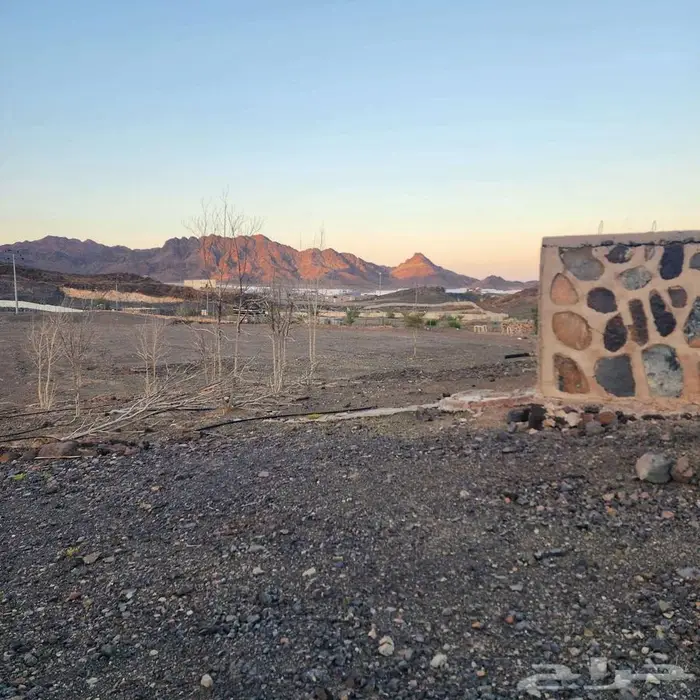 ارض زراعيه بجوار مدن الصناعيه بالمدينه المنوره 1