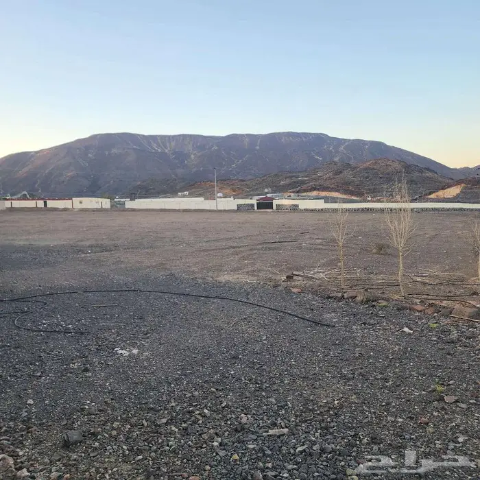 ارض زراعيه بجوار مدن الصناعيه بالمدينه المنوره 0