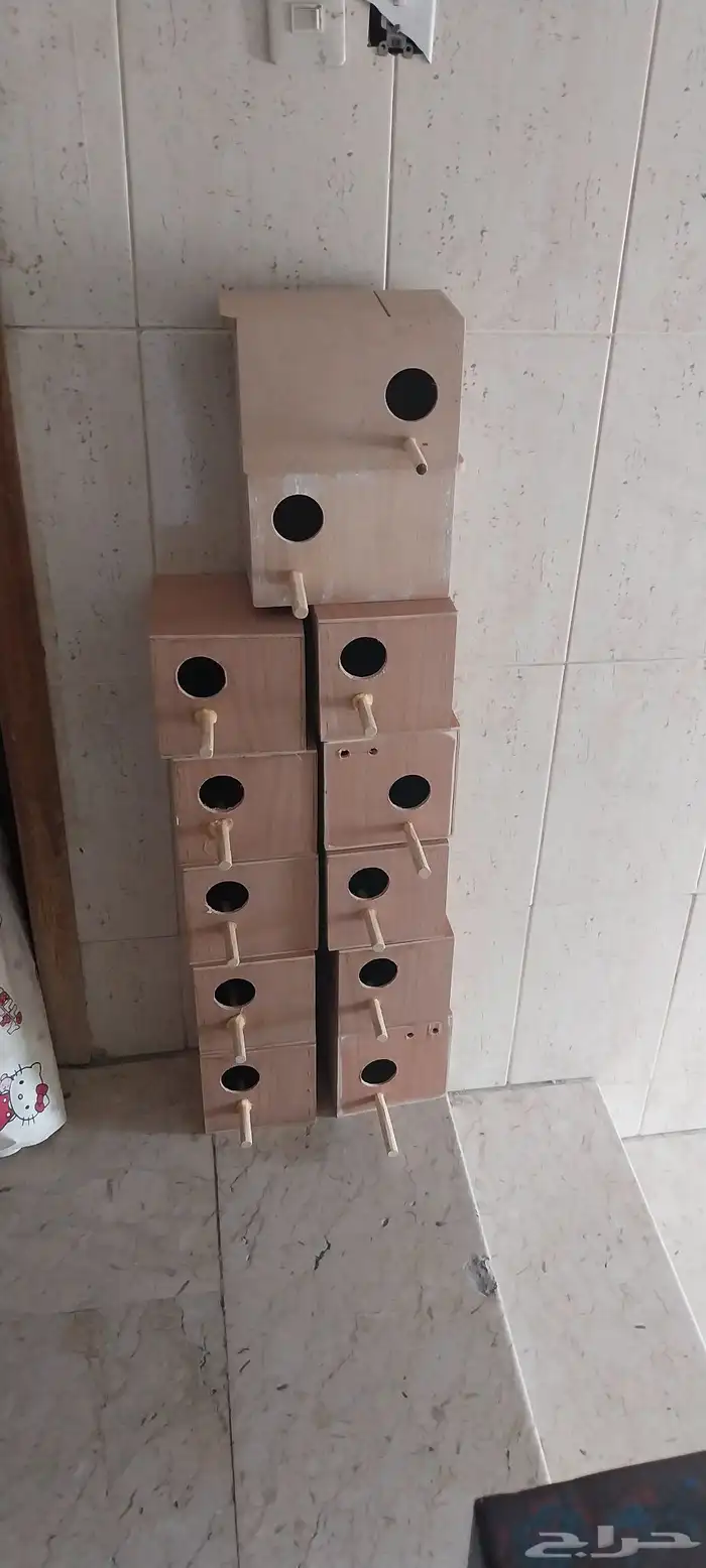 10 بياضة طيور تستخدم للبادجي وطيور الزيبرا والكناري 2