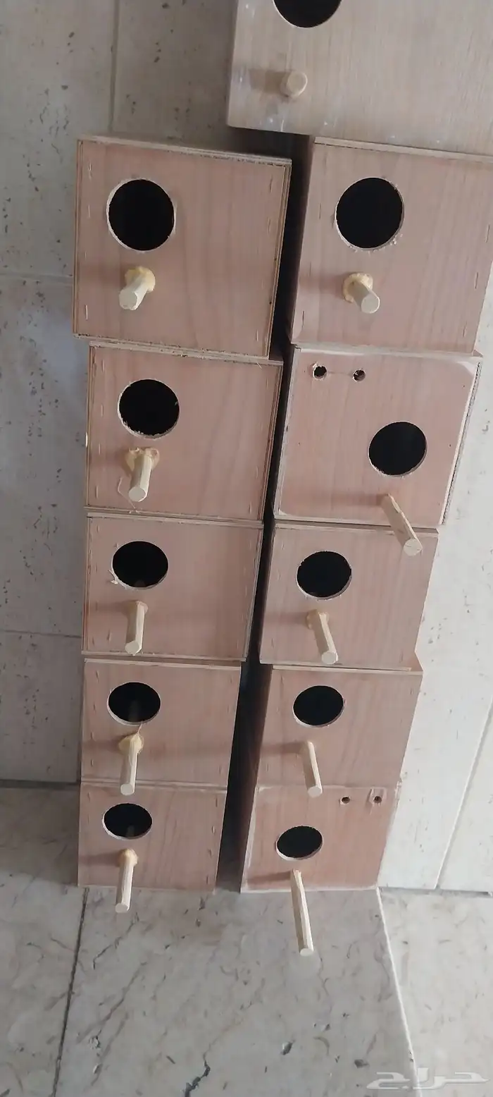 10 بياضة طيور تستخدم للبادجي وطيور الزيبرا والكناري 0