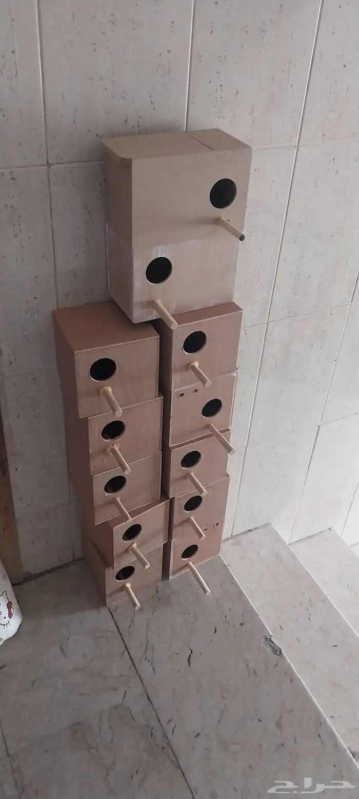 10 بياضة طيور تستخدم للبادجي وطيور الزيبرا والكناري 3