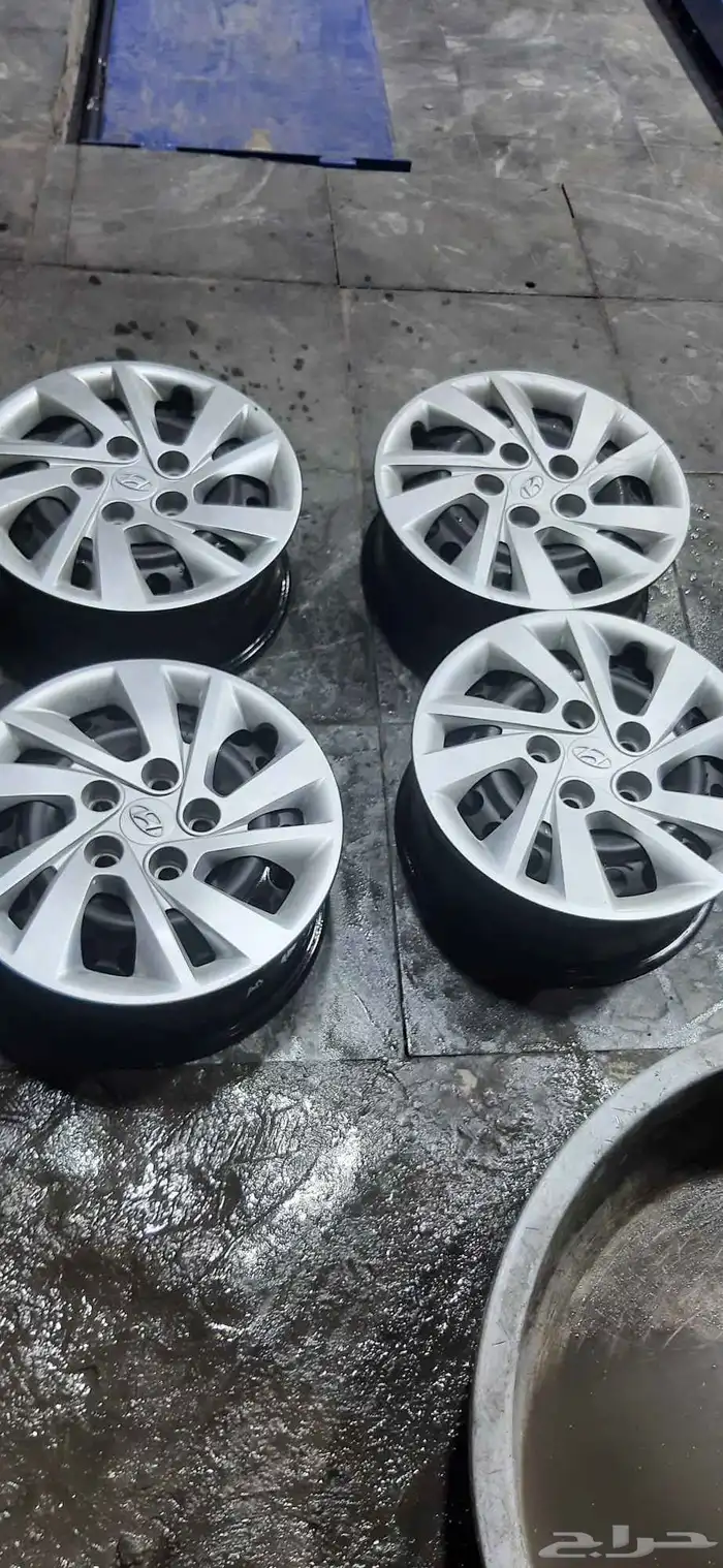 جنوط النترء سوح المديل الجديد مع الطيس 0