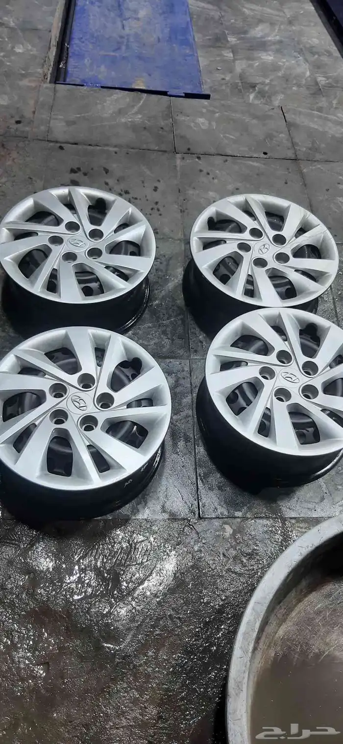 جنوط النترء سوح المديل الجديد مع الطيس 6