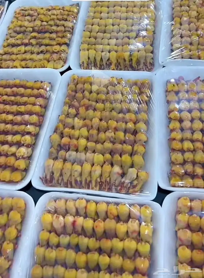 وصول الصفاري الصفارا واشياء ثانيه معه 2