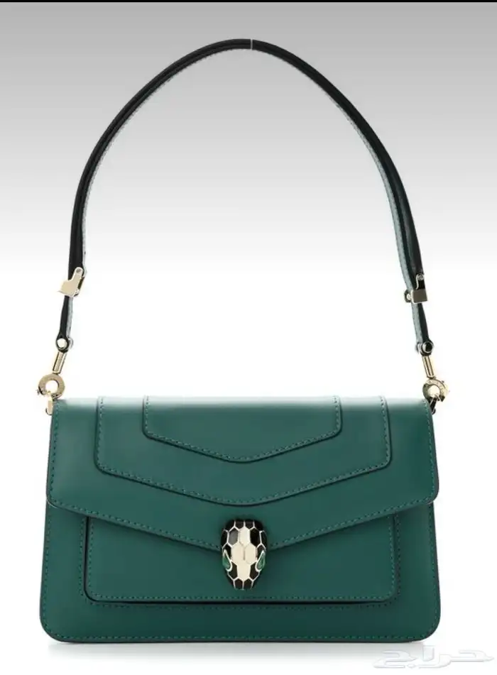 شنطه ماركات ديور قودشي شانيل وجميع إلى منزله متوفره لطلب 69