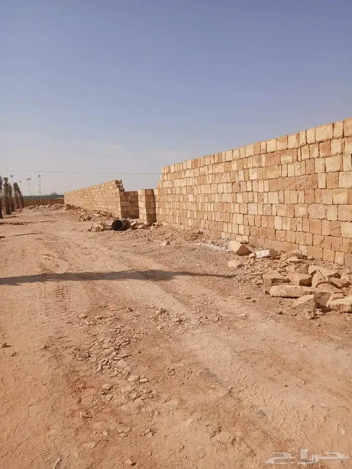 يتوفر لدينا جميع أنواع النخيل 1