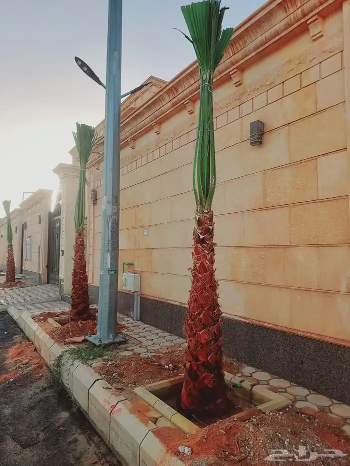 لتوريج جميع انواع انخل 9