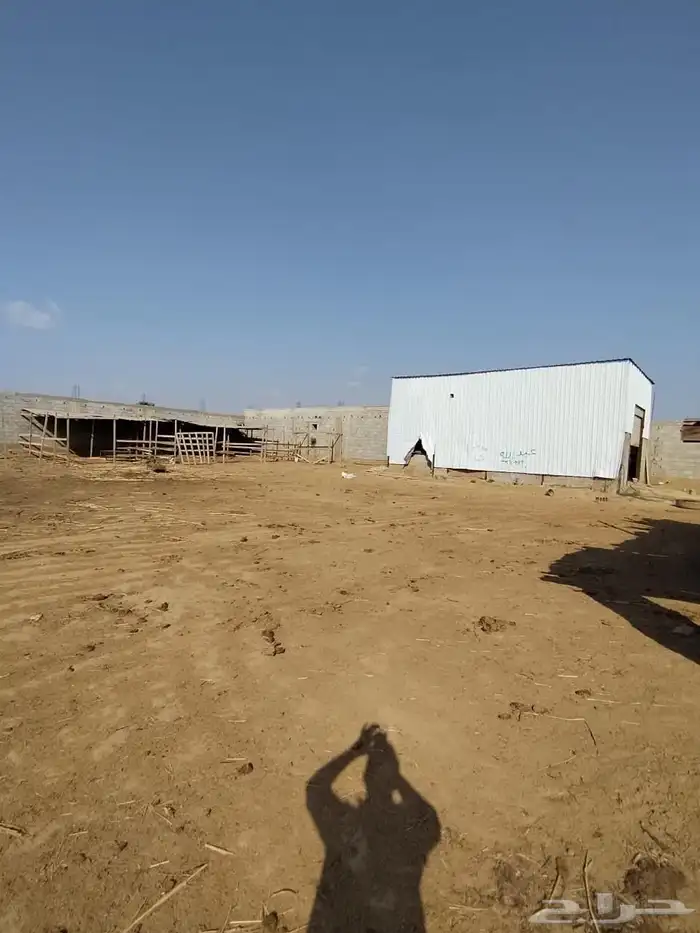 ارض زراعية للبيع جازان صبيا حلة مشاري فيديو و صور 6