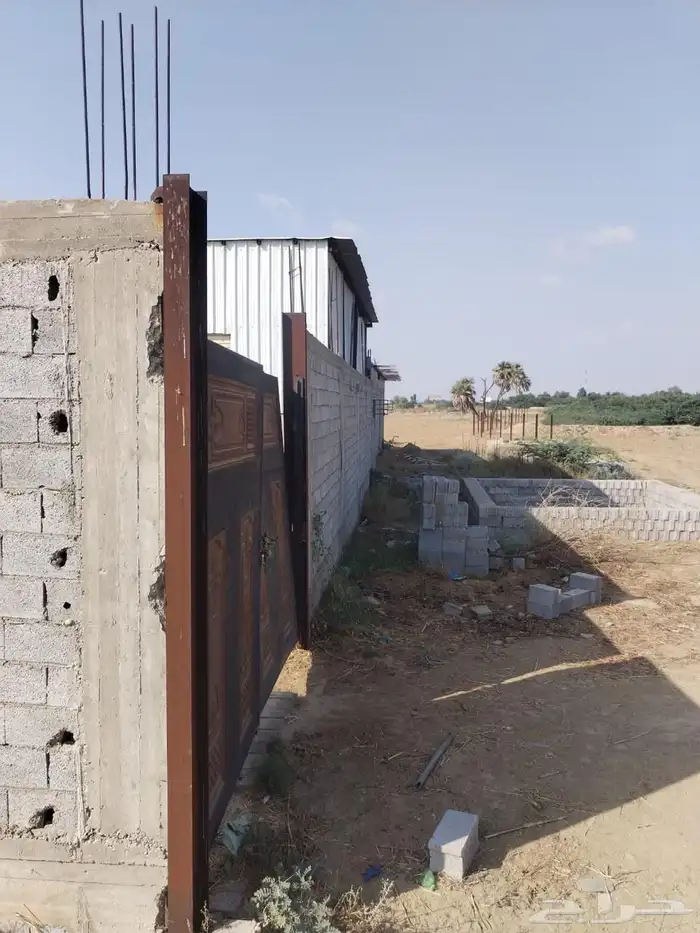 ارض زراعية للبيع جازان صبيا حلة مشاري فيديو و صور 5