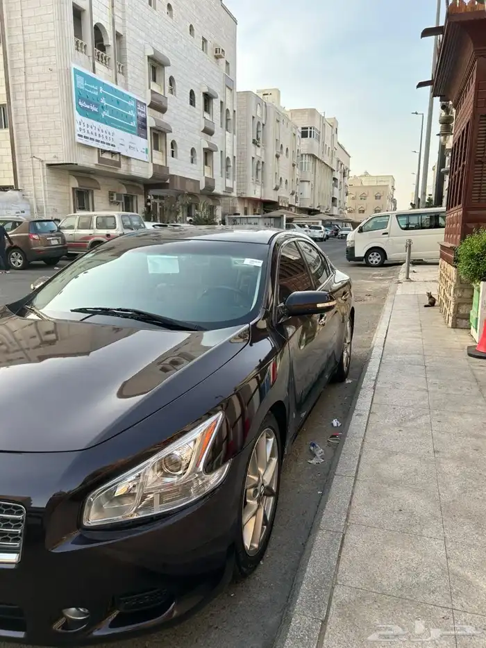مكسيما 2010 نظيف 2