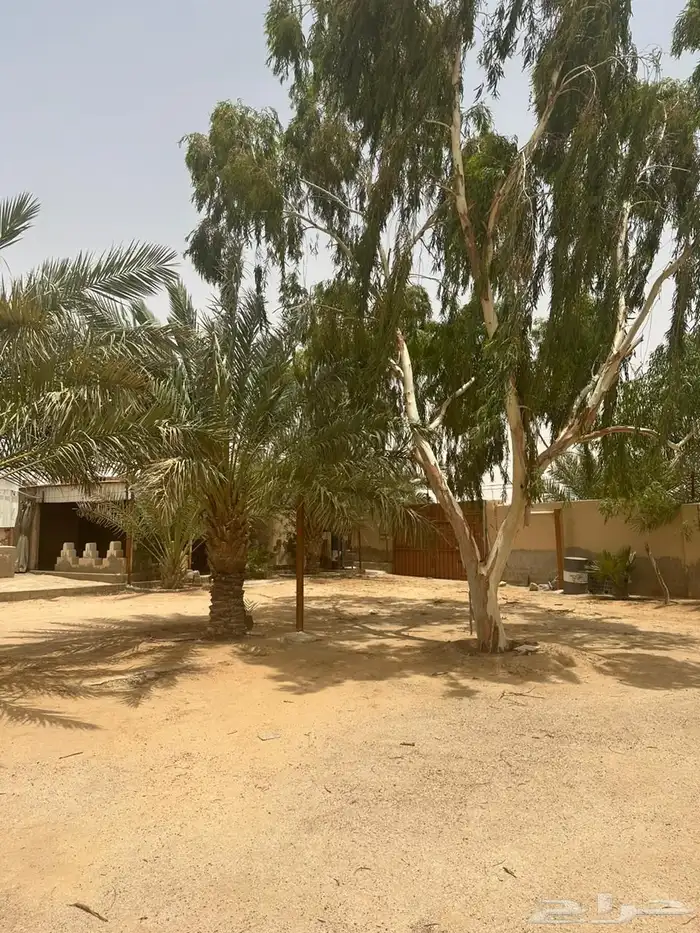 مزرعة واستراحة للبيع 12