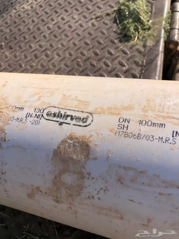 بيضان المدينه المنورة 3