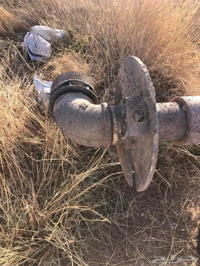 بيضان المدينه المنورة 0