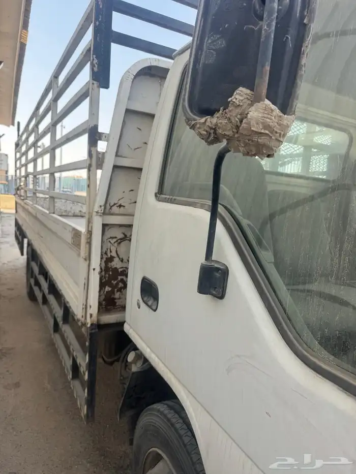 دينة ايسوزو2004 5