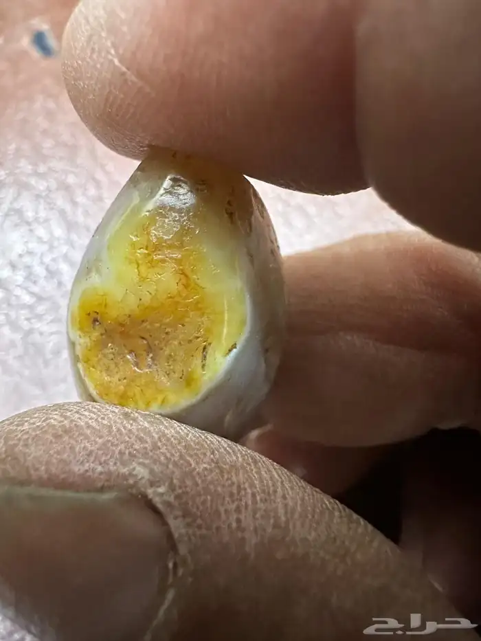 خرزة الداب تراث 4