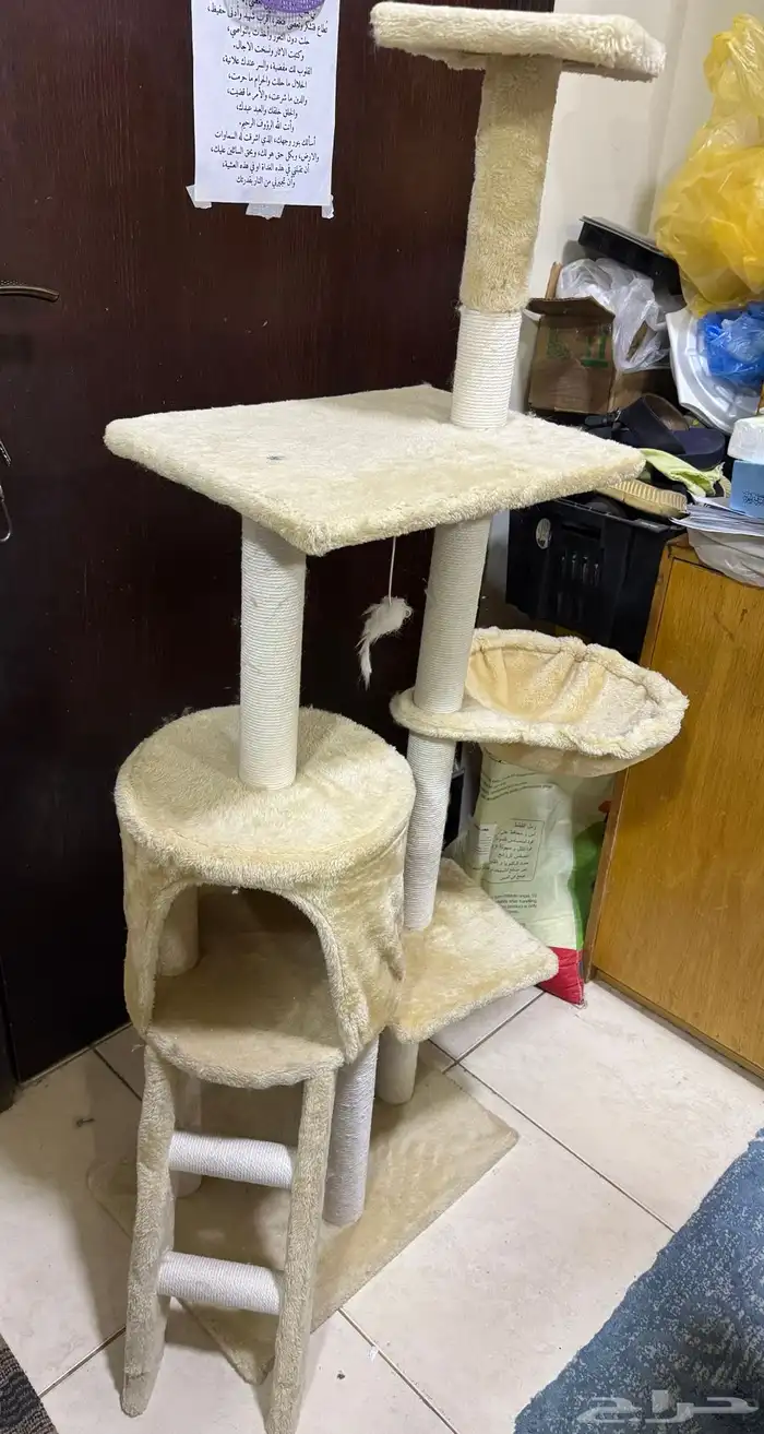 خداشة للقطط شبه جديدة 0