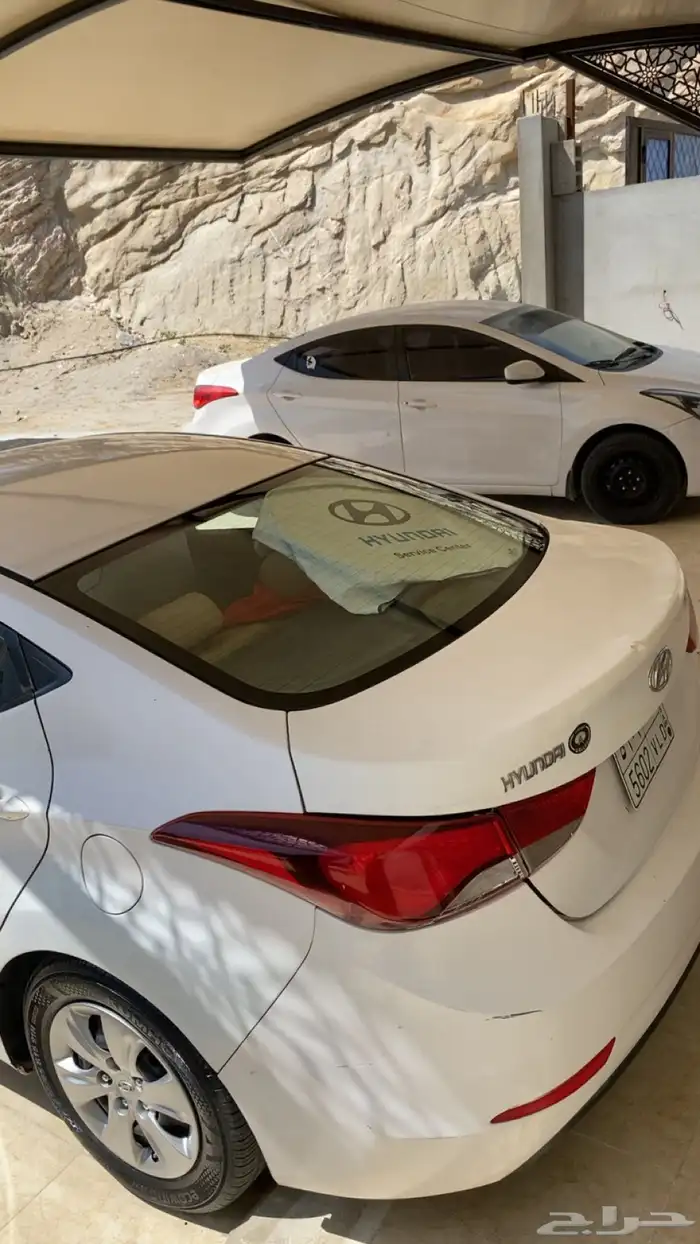 النترا 2014 6