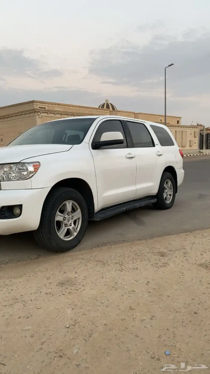 سكويا للبيع 2013 0