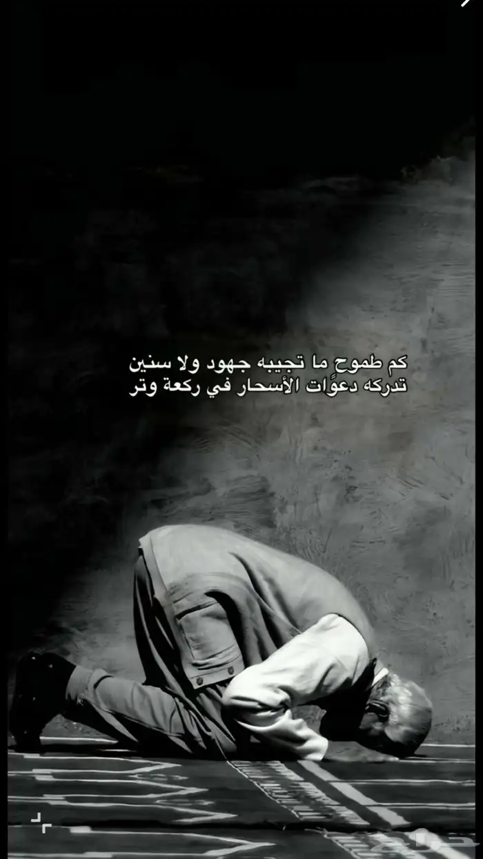 مطلوب حلال مراح كامل للبيع اي عدد 0