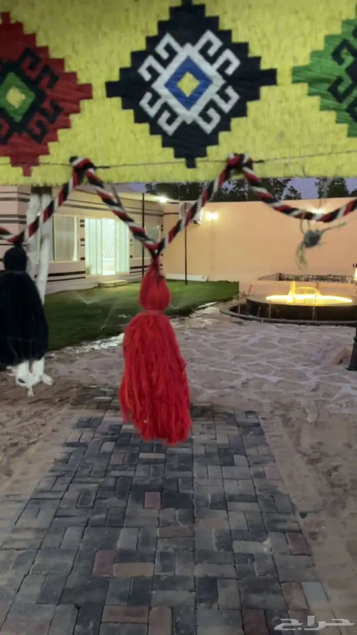 مزرعه بالجبيل للايجار اليومي 2