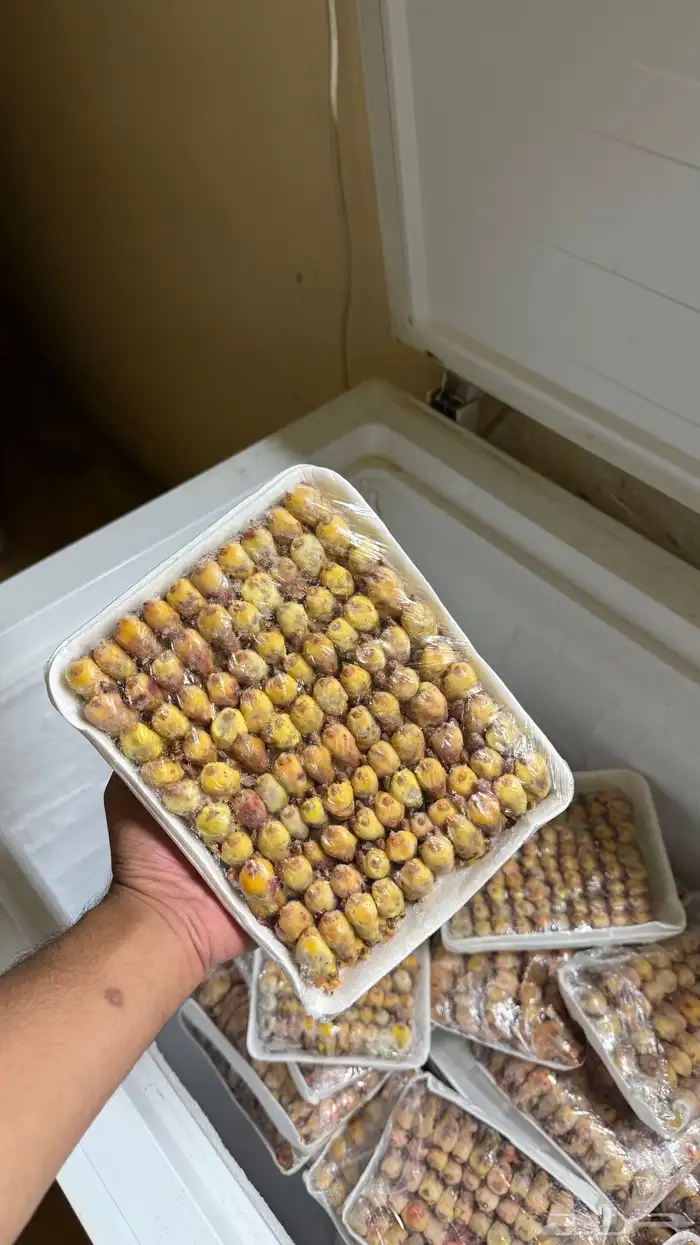 بقلاوه مصر 1