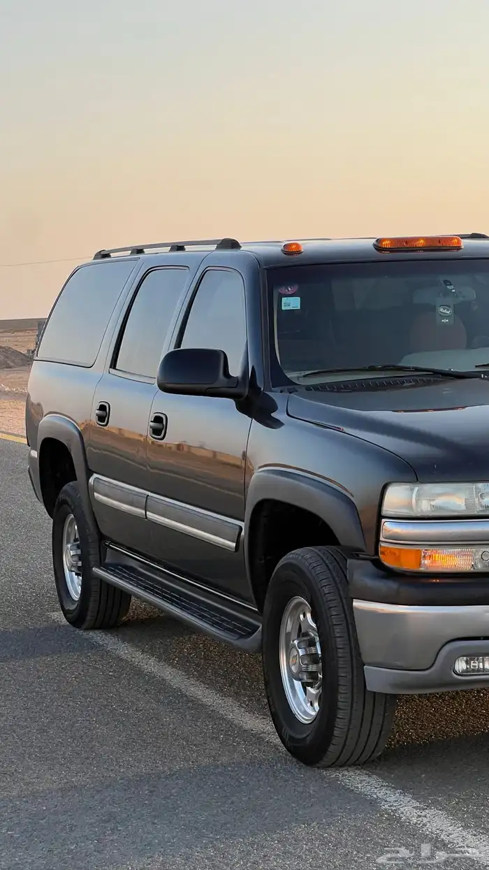 جمس شفر طويل 0