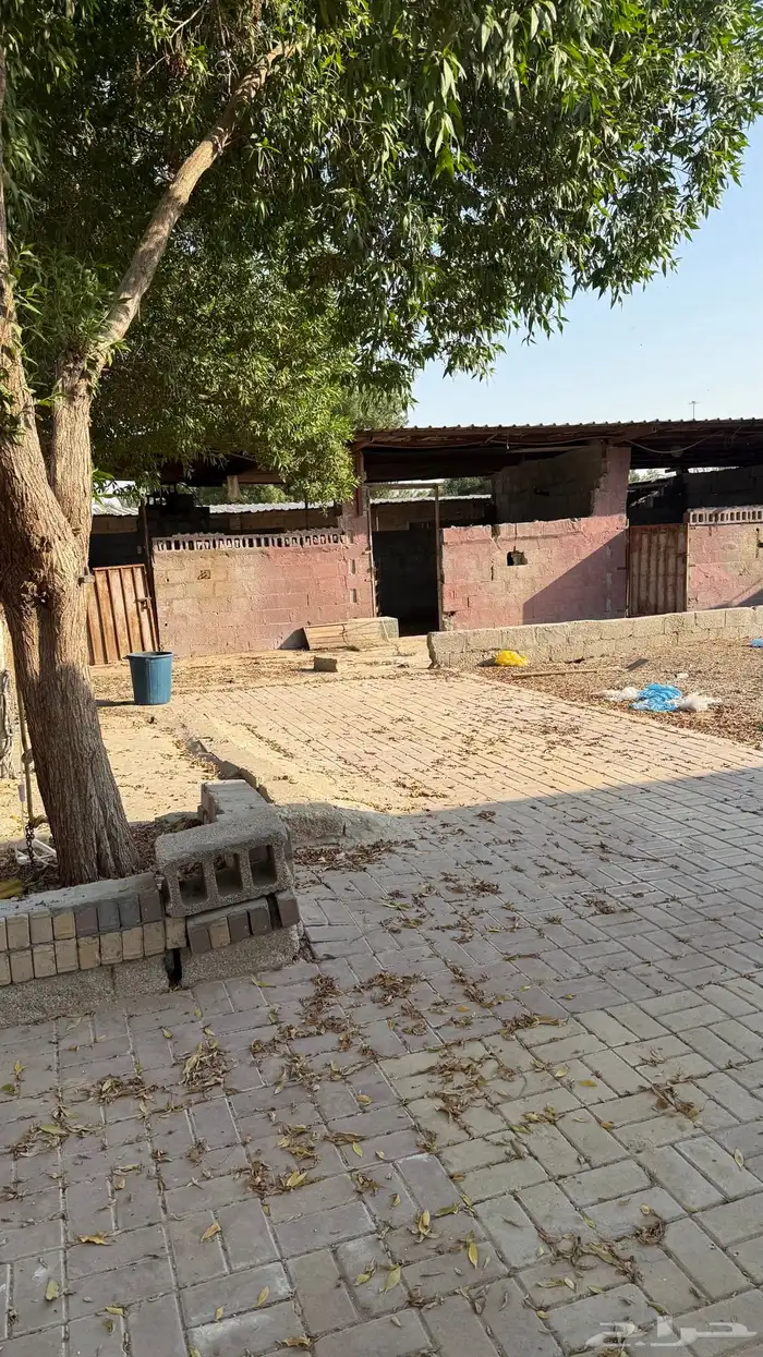 اسطبل كامل للاجار 7