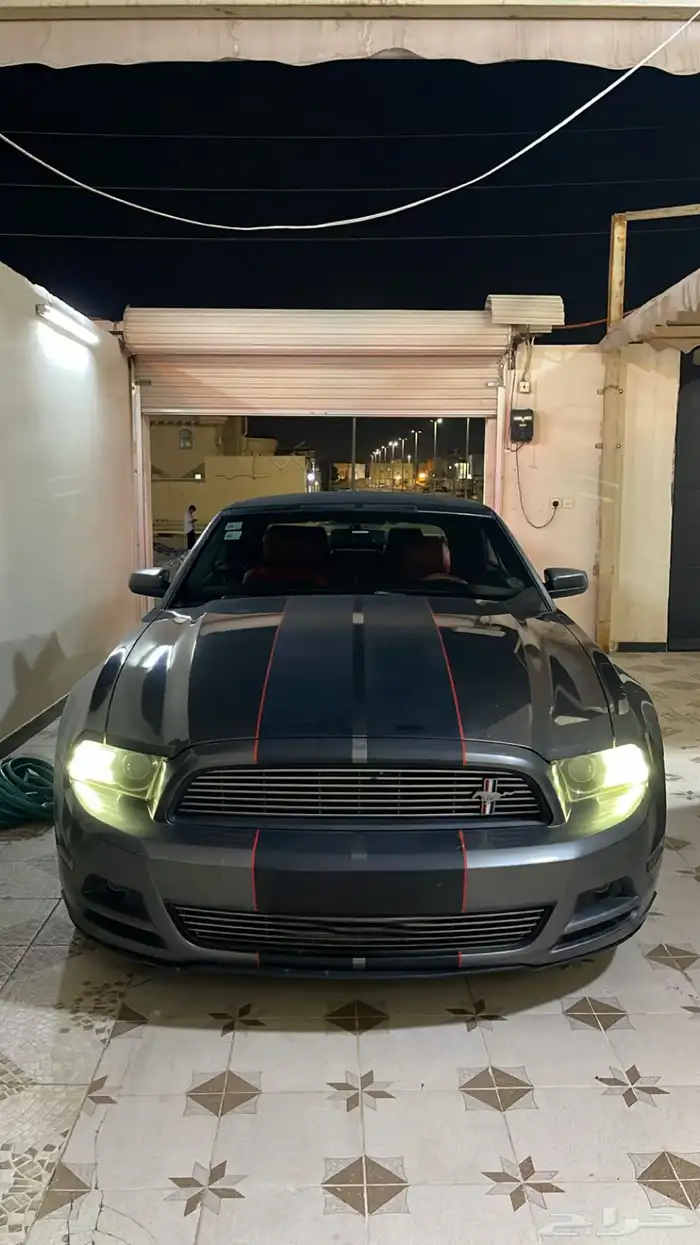 موستنج 2013 2