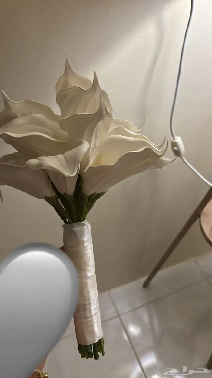 مسكه للايجار 0