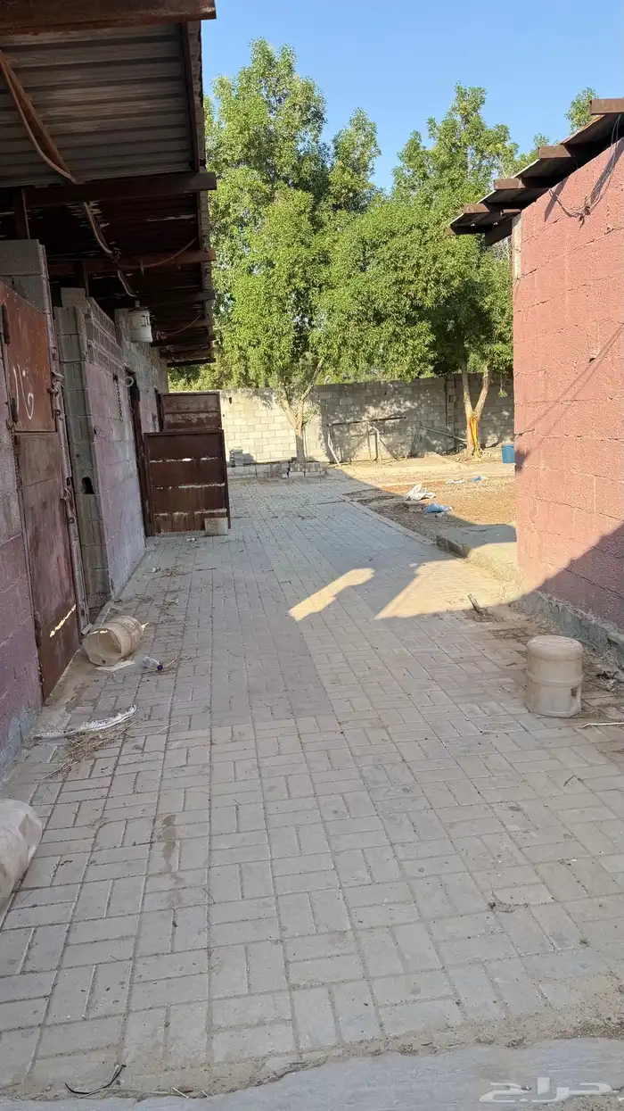 اسطبل كامل للاجار 2