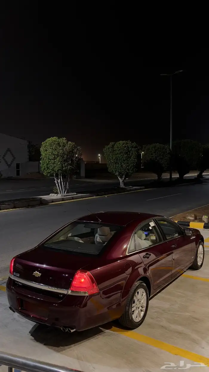 كابرس 2012 عنابي 1